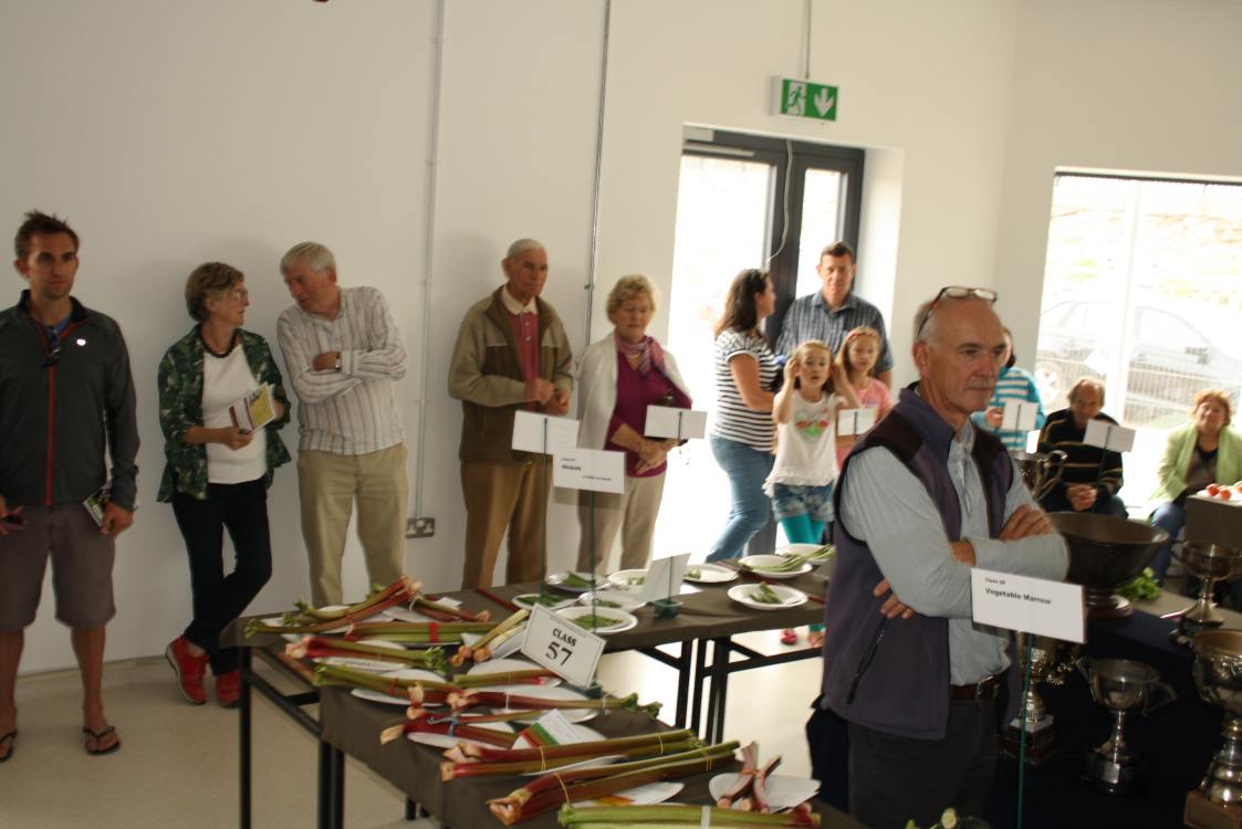 ../Images/64th Bunclody Horticultural Show 2015 - 79.jpg